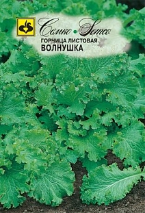 Горчица Волнушка