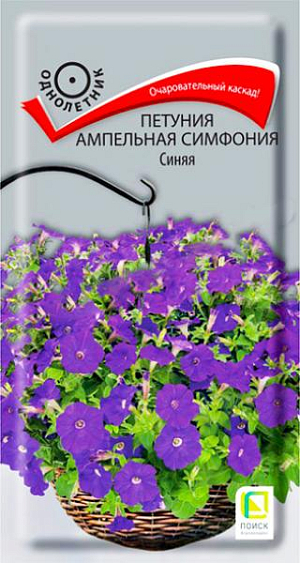 Семена Петуния ампельная Симфония Синяя F1. Очаровательный каскад! Растения великолепно разрастаются, образуя шикарные побеги длиной 50-70 см. Цветы крупные, эффектные, диаметром 5-6 см. Окраска - синяя. Цветет обильно с июня по октябрь. Отлично подходит для подвесных корзин, балконных ящиков.<br>
 <br>
 Агротехника. Растение светолюбивое, засухоустойчивое, хорошо растет на любых питательных почвах. Посевы проводят в феврале. Контейнеры накрывают плёнкой для обеспечения максимальной влажности воздуха и субстрата в первые 7-10 дней после посева. При температуре почвы +18-20°C всходы появляются на 7-14 день. Сеянцы пикируют в фазе 2-х настоящих листьев. Рассаду высаживают в мае, по 3 растения в подвесное кашпо или вазон диаметром 21 см. Для получения наилучшего результата требуется прищипка.