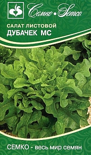 Семена Салат Дубачек МС