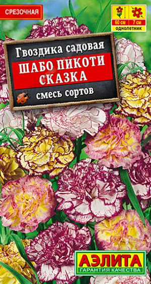 Гвоздика Шабо Пикоти Сказка смесь. Эффектная гвоздика с густомахровыми контрастными цветками и великолепным ароматом. Над розетками сизо-зеленых листьев возвышаются изящные цветоносы до 60 см. высотой. Каждый цветонос несет от одного до пяти крупных цветков диаметром 6-7 см. Цветение обильное и продолжительное. Растения неприхотливые, светолюбивые. Используются в бордюрах, миксбордерах и как горшечная культура. Дают отличную срезку, цветы стоят в воде не меньше недели.<br>
 <br>
 Пикировка сеянцев в фазе двух-трех листьев. Для получения компактных кустиков проводят 2-3-кратную прищипку побегов.<br>