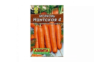 Морковь Нантская 4 ранняя