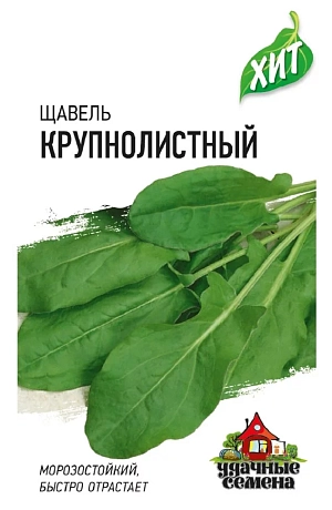 Щавель Крупнолистный