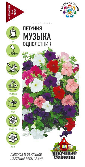 Смесь компактных петуний. Используется для украшения балконов, подоконников, цветников и бордюров. Высота растений всего 30 см. Цветки 5,5-6,5 см в диаметре, разнообразной яркой и насыщенной окраски. Цветение очень обильное. Светолюбива и достаточно засухоустойчива. Предпочитает легкие, плодородные, хорошо дренированные почвы. Выращивают рассадным способом. Для получения цветущих растений уже в мае посев на рассаду можно производить в феврале, рассада нуждается в досвечивании.