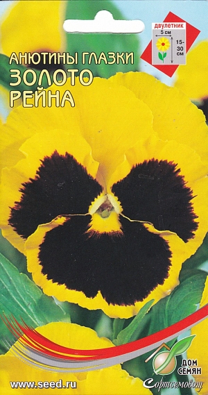 Красивое двулетнее растение с оригинальными цветками. Можно использовать для клумб, бордюров и маленьких букетиков. Цветет на второй год с июня. Посев в июне-июле в рассадные ящики в тепличку. Глубина посева 0,5 см. Всходы появляются через 10-14 дней при температуре 15-18С. Пикировать через 4 недели с высадкой на постоянное место. Растения нормально развиваются при температуре 6С. Растения предпочитают рыхлые питательные, хорошо дренированные почвы без свежего навоза. Полив обильный. На зиму укрывать.