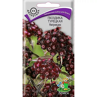 Гвоздика Турецкая Нигриканс Гвоздика Турецкая Нигриканс