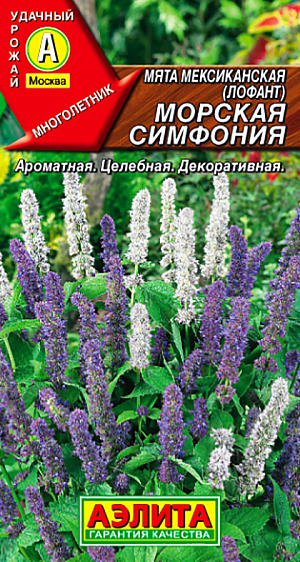 Семена Мята мексиканская Морская симфония
