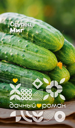Семена Огурец Миг
