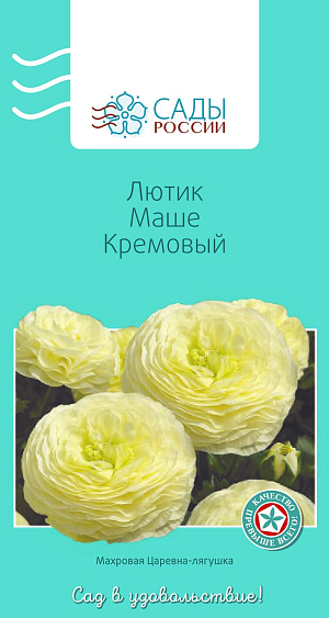 Лютик Маше Кремовый

Лютики (ранункулюсы) азиатские, или садовые, – удивительные, очаровательные цветы, напоминающие маленькие розочки или слегка распустившиеся пионы. Они восхищают многих садоводов-любителей и всё же остаются пока довольно редкими гостями на наших участках. Ранункулюсы разных окрасок и оттенков в период массового цветения образуют необыкновенное по красоте море цветов.
Перед посевом семена замочить в воде на 2–4 часа. Для субстрата подойдет чернозем, обогащенный торфом. Также необходим дренажный слой и хорошее освещение сеянцев. Плохо переносит пересадки. Полив каждые 2–3 дня. Зацветает на следующий год. Теплолюбив, рассаду высаживают в грунт после того, как минует угроза возвратных заморозков.