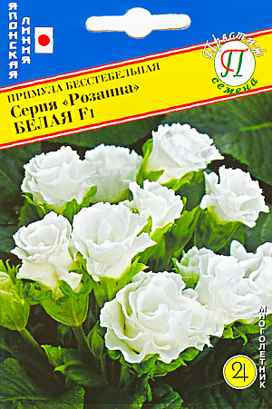<div>
 Семена Примула Розанна белая бесстебельная F1 5 шт.
</div>
Травянистое многолетнее растение, одно из самых раннецветущих, относится к семейству Первоцветные. Образует компактный и очень выровненный кустик высотой 15 см. Листья прикорневые, цельные. Цветки крупные, полностью махровые, белого оттенка, похожие на небольшие розочки. 
Хорошо растет и обильно цветет в полутенистых местах, на удобренной, достаточно увлажненной почве. Легко переносит пересадку даже во время цветения. Семена высевают в открытый грунт осенью или весной после стратификации во влажном песке при низкой положительной температуре, в течение 3-4 недель. При температуре почвы 10°С всходы появляются через 25 дней.