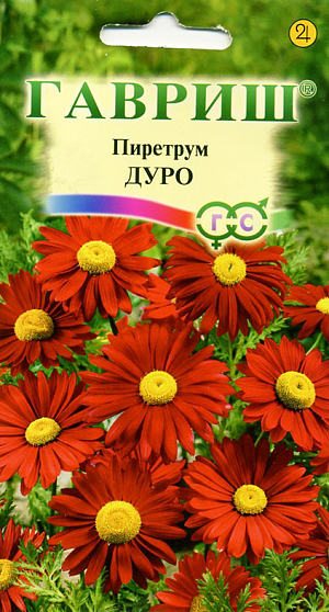 Семена Пиретрум Дуро.
Многолетнее зимостойкое растение из семейства Астровые высотой 80 см. Период цветения – июнь-июль. Соцветия крупные (10-12 см в диаметре) пупурно-красной окраски. Хорошо растет на солнечных и полутенистых участках. К почве нетребователен, но отзывчив на удобрения и не выносит переувлажнения. Выращивают рассадным способом или прямым посевом в открытый грунт. Посев семян в открытый грунт проводят осенью или весной. Растения зацветают на второй год. На рассаду семена высевают в марте-апреле. В мае рассаду высаживают на постоянное место с расстоянием между растениями 25-30 см, в этом случае часть растений зацветает к концу лета. Используется для оформления участка - в группах и миксбордерах, а также для получения срезки.