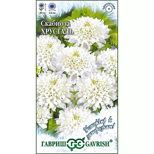 Семена Скабиоза пурпурная Хрусталь махровая