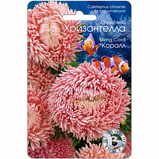 Семена Астра китайская Хризантелла Коралл