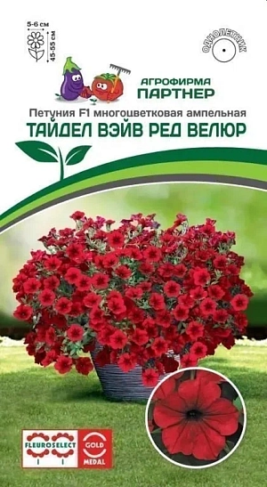 Описание
Характеристики:
высота растения — 50–55 см;
диаметр куста — 1,5 м и более;
диаметр цветка — 5–7 см;
окраска цветка — красная, бархатистая;
лепестки имеют плотную текстуру, что позволяет отталкивать воду и мгновенно восстанавливаться после дождя и ветра;
благодаря мощному ветвлению мгновенно заполняет пространство, подходит для больших цветников и контейнеров.
 

Время цветения: июль, август, сентябрь. 

Время посадки на рассаду: январь, февраль, март. Время посадки в грунт: май, июнь. 