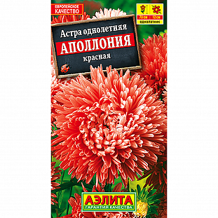 Семена Астра Аполлония красная