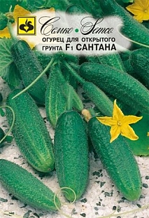 Семена Огурец Сантана F1