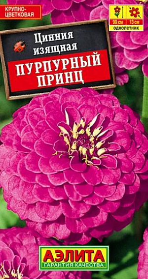 Семена Цинния Пурпурный Принц.
Обильноцветущий сорт циннии с очень крупными, O 12-14 см, густомахровыми соцветиями. Достойно впишется в любой садовый ансамбль или возьмет на себя роль солиста, благодаря редкой ярко-лиловой окраске, царственной высоте (70 см) и неотразимой красоте гармоничных соцветий. Цветение раннее и продолжительное. Растения неприхотливые, засухо устойчивые, предпочитают солнечное местоположение. Идеальный срезочный сорт, цветы долго стоят в воде, сохраняя яркость окраски. Агротехника. Выращивают рассадным способом. С развитием первой пары настоящих листочков сеянцы пикируют. В фазе 5-6 листьев проводят формирующую прищипку. Рассаду высаживают в открытый грунт, когда минует опасность заморозков. Растениям необходимы регулярные поливы, прополки, рыхления и подкормки. Возможен посев семян в открытый грунт на глубину 1 см. 