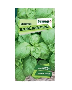 Базилик зеленый Ароматный