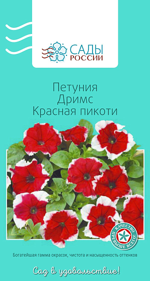 Петуния Дримс Красная пикоти

Крупноцветковая петуния серии "Дримс" удачно сочетает обильное цветение и крупные, до 12 см в диаметре, цветки. «Пикоти» означает, что по краю цветка идёт контрастная белая кайма. Растения компактные, хорошо разрастаются. Рассаду высаживают в грунт после того, как минует угроза возвратных заморозков.