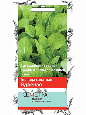 Горчица салатная Ядреная