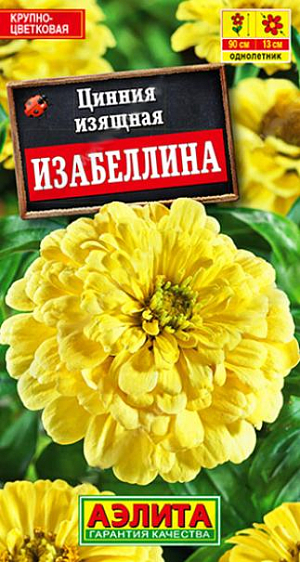 Семена Цинния георгиновидная Изабеллина. Крупноцветковый сорт с редкой у цинний окраской. Цвет  солнечного лайма по-летнему свежий, искристый и выразительный. Кусты высотой до 90 см, мощные, хорошо облиственные, с крепкими цветоносами. Многочисленные язычковые цветки («лепестки») черепитчато уложены в соцветия георгиновидного типа, диаметром 10-13 см. Сорт универсального использования. Рекомендуется для оформления цветников открытого грунта и на срезку в букеты. В цветниках удачно сочетается с розовыми и пурпурными цинниями, ярко-желтыми бархатцами и календулой, сиреневыми астрами.<br>
 <br>
 Циннии – растения теплолюбивые, быстрорастущие, относительно засухоустойчивые. Предпочитают солнечные участки с дренированными почвами среднего плодородия, нейтральной кислотности. В южных регионах возможен без рассадный способ выращивания.<br>