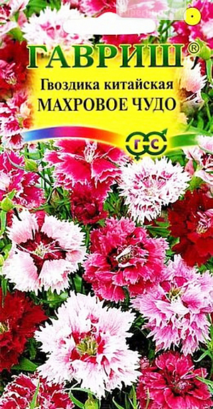 Семена Гвоздика Чудо Махровое китайская.
Травянистое растение семейства Гвоздичные, с ползучими стеблями. В высоту достигает до 20-30 см. 
Цветет с июня до октября красивыми белыми, розовыми или красными цветками с гофрированными по краю лепестками. 
Малотребовательна, морозостойка, светолюбива. Одинаково хорошо развивается и на ярком солнце, и в легкой полутени, предпочитая влажную, слегка известковую почву. 
Семена высевают в марте на рассаду, а после заморозков - в открытый грунт. Используют главным образом для украшения цветников.