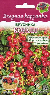 Брусника Коралл
