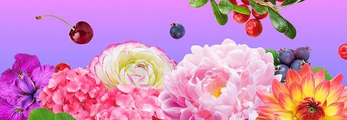 Эксклюзивные новинки 2026: будьте первыми.