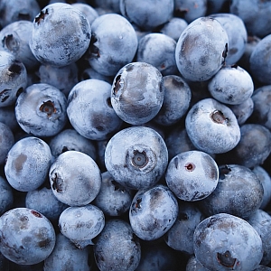 Голубика Пелле