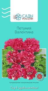 Семена Петуния Валентина