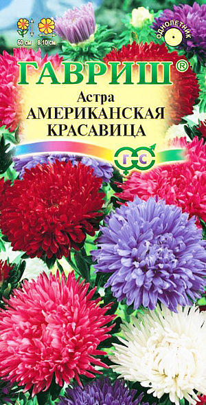 Семена Астра Американская Красавица.
Очень популярное и привлекательное растение семейства Астровые, высотой до 60 см.
Цветет с августа по сентябрь. Соцветия до 8-10 см в диаметре. 
На одном растении формируется до 27 соцветий. 
Для выращивания подходят хорошо освещенные участки с плодородной суглинистой или супесчаной почвой. 
Сырые и затопляемые весной и осенью участки для них непригодны. 
Астры обладают высокой холодостойкостью — хорошо переносят заморозки до -3 -4 °C. 
Выращивают, чаще всего, рассадным способом. 
Семена высевают в марте-апреле, пикируют с развитием первой пары настоящих листочков по схеме 5x5 см, 
в открытый грунт рассаду высаживают с середины мая до начала июня с расстоянием между растениями 25 см. 
Используется для получения срезки и оформления участка.