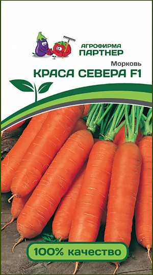 Семена Морковь Краса Севера F1