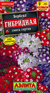 Семена Вербена гибридная, смесь сортов