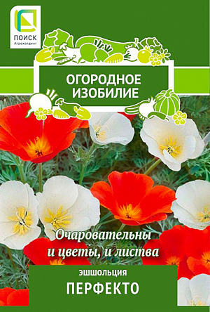 Семена Эшшольция Перфекто<br>
 <br>
Очаровательное красивое растение. Высота растения до 40 см. Стебель прямой, тонкий, с многочисленными ребристыми серо-зелёными, голыми побегами. Цветки одиночные, чашевидной формы, кремово-белой и ярко-красной окраски, 4-5 см в диаметре. Используют для клумб, рабаток, каменистых горок.