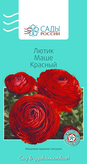 Лютик Маше Красный

Лютики (ранункулюсы) азиатские, или садовые, – удивительные, очаровательные цветы, напоминающие маленькие розочки или слегка распустившиеся пионы. Они восхищают многих садоводов-любителей и всё же остаются пока довольно редкими гостями на наших участках. Ранункулюсы разных окрасок и оттенков в период массового цветения образуют необыкновенное по красоте море цветов.
Перед посевом семена замочить в воде на 2–4 часа. Для субстрата подойдет чернозем, обогащенный торфом. Также необходим дренажный слой и хорошее освещение сеянцев. Плохо переносит пересадки. Полив каждые 2–3 дня. Зацветает на следующий год. Теплолюбив, рассаду высаживают в грунт после того, как минует угроза возвратных заморозков.