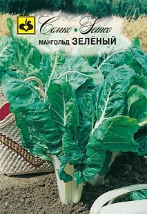 Мангольд зеленый
