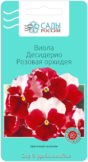 Семена Виола Десидерио Розовая орхидея.
Огромные округлые цветки до 10 см в диаметре имеют редкую расцветку. Верхние лепестки молочно-белого цвета, а нижние почти полностью красные. Низкие кусты, обильно покрыты цветами, издали напоминают клубнику со сливками.
Виола, или анютины глазки, или фиалка трёхцветная. Современные сорта и гибриды низкорослы, компактны, с крупными (до 10 см) цветками. Виолу хорошо посадить на клумбу с первоцветами. Отцветают крокусы и мускари, – распускаются анютины глазки. Летом они несколько теряют декоративность, а с наступлением прохлады пышно цветут снова и снова. Эти цветы хороши и на клумбах, и в вазонах, и на балконе.