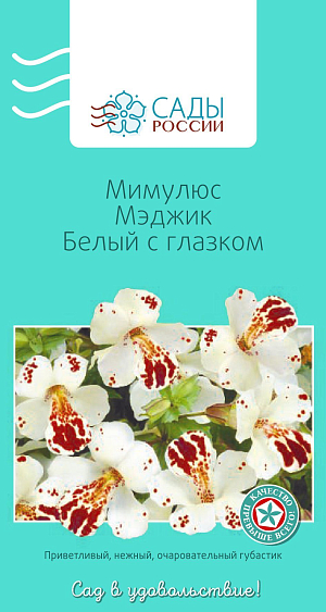 Мимулюс Мэджик Белый с глазком

Цветки завораживают и притягивают своей необычностью. К его достоинствам относятся теневыносливость и терпимость к повышенной влажности почвы. Для пышности цветения молодые кусты лучше прищипывать. Полив обильный. Холодостойкий. Рассаду высаживают в грунт после того, как минует угроза возвратных заморозков.
