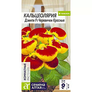 Семена Кальцеолярия Дэинти Черевички красные