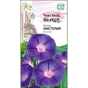 Ипомея Мистерия