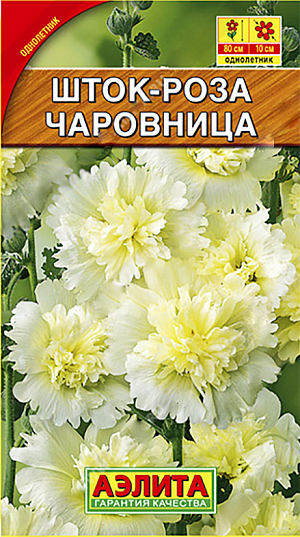 <div>
 Семена Шток-роза Чаровница.
</div>
<p>
 Однолетник. Высота 80 см. Диаметр 10 см.
</p>
<p>
 Величественное, стройное растение с крупными махровыми, похожими на пионы, ярко-желтыми цветками, собранными в гигантские соцветия - вытянутые кисти. Прекрасно подходит для  высадки на заднем плане цветников, клумб, декорирования стен и оград. Срезанные соцветия в бутонах великолепно распускаются в воде.<br>
</p>
<p>
 Посев семян в марте – начале апреля в отдельные горшки на рассаду.<br>
</p>
<p>
 В открытый грунт рассаду высаживают с конца мая. Возможен посев семян в открытый грунт в мае-июне. В этом случае цветение на второй год. Растениям необходимы регулярные поливы, прополки, рыхления и подкормки. 
</p>