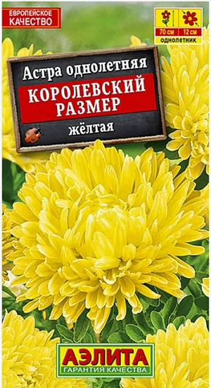 Астра Королевский размер жёлтая

Великолепная серия крупноцветковых астр универсального назначения – на срезку и для украшения цветников. Кусты пышные, пирамидальные, высотой 60- 70 см. Соцветия густомахровые, Ø 11-13 см, на длинных, прочных цветоносах. Цветение обильное, длительное. Обладает сравнительно высокой устойчивостью к болезням.

