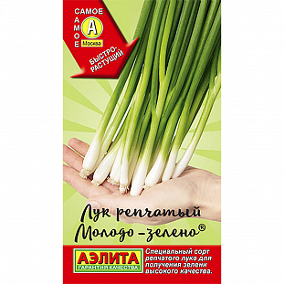 Семена Лук репчатый Молодо-зелено