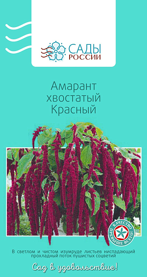 Амарант хвостатый Красный

Очень эффектный декоративно-лиственный однолетник. Буквально завораживает красотой длинных, до 60 см, поникающих колосовидно-метельчатых темно-вишневых соцветий, ниспадающих бархатной бахромой с верхушки к основанию стебля. Теплолюбив. Рассаду высаживают в грунт, когда минует угроза возвратных заморозков.