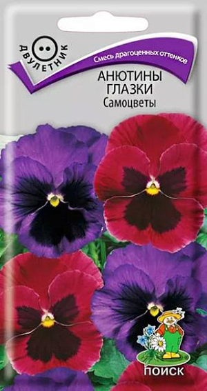 Семена Анютины глазки Самоцветы. Растение с быстрым ростом, красиво и обильно облиственное, с крупными цветками, сидящими на короткой и твердой цветоножке. Высота растения 15 см. Цветки сине-фиолетовые и малиновые с темными пятнами на нижних лепестках. Используют для клумб и бордюров, в цветники - группами.<br>
Агротехника. Растения неприхотливые, легкие в выращивании, холодостойкие. Предпочитают солнечные и полутенистые места, рыхлые, плодородные почвы. Размножают посевом семян в июне на разводочные гряды. Семена слегка присыпают землей. При температуре почвы +18°C всходы появляются на 10-15 день. Сеянцы пикируют в фазе 1-2-й пары настоящих листьев. В конце августа – начале сентября рассаду высаживают на постоянное место, выдерживая расстояние между растениями 15-20 см. 