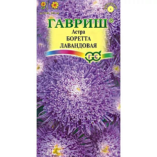 Семена Астра Боретта лавандовая