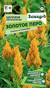 Целозия метельчатая Золотое перо