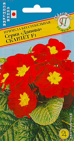 <div>
 Семена Примула Скарлет F1 Серия Данова.
</div>
<p style="text-align: justify;">
 Это лидирующий сорт, дающий самый высокий процент товарных растений. Выровненный габитус растения. Очень высокая всхожесть. Многолетнее невысокое растение (10-14 см). Низкие одиночные цветоносы чуть возвышаются над розеткой листьев, создавая шапочку из цветов. Цветки большие, распускаются ранней весной. Примулы серии «Данова» позволяют составлять самые разные смеси. Красочное растение для садов и двориков, контейнеров и вазонов.
</p>