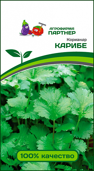 Семена Кориандр Карибе