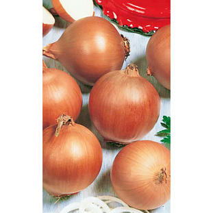 Семена Лук репчатый Стригуновский местный