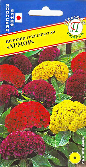 Семена Целозия Армор гребенчатая.
Однолетник. Сорт гребенчатой целозии с большими яркими головками цветов на прочных стеблях. Куст компактный, высотой 20-35 см. Листья красивого зелёного цвета. Широко используют для посадки на клумбах и рабатках, из целозии можно создавать красочные бордюры и различные цветовые композиции. Хорошо стоит в срезке. Высевают на рассаду в феврале-апреле. Семена равномерно распределяют по поверхности влажного компоста, присыпают тонким слоем компоста или вермикулита, накрывают непрозрачной пленкой, для прорастания целозии необходима темнота. При температуре 20-25 градусов всходы появляются на 7-10 день. После прорастания пленку убирают. Выращивают в прохладном месте на свету, но избегая попадания прямых солнечных лучей. Подросшие растения пикируют в горшочки либо ящички с шагом 15-20 см и выращивают при температуре не ниже 13 градусов. На постоянное место растения высаживают в начале июня с шагом 20-25 см. Предпочитает рыхлые, питательные почвы. Теплолюбивое, относительно засухоустойчивое растение. Высаживается на хорошо освещённых участках сада. В сухую, жаркую погоду обильно поливают. Подкармливают полным минеральным удобрением каждые 10-14 дней. Обильно цветёт с июня и до первых заморозков.